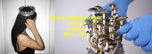 дмт Богородицк