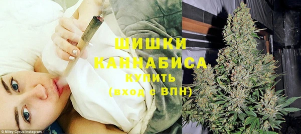 a pvp Бородино