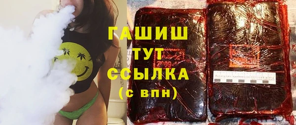 a pvp Бородино